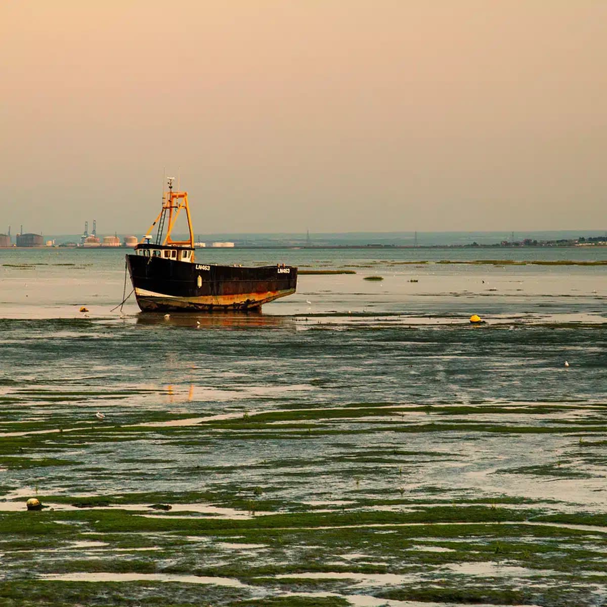 A quiet estuary landscape near Southend-on-Sea at low tide