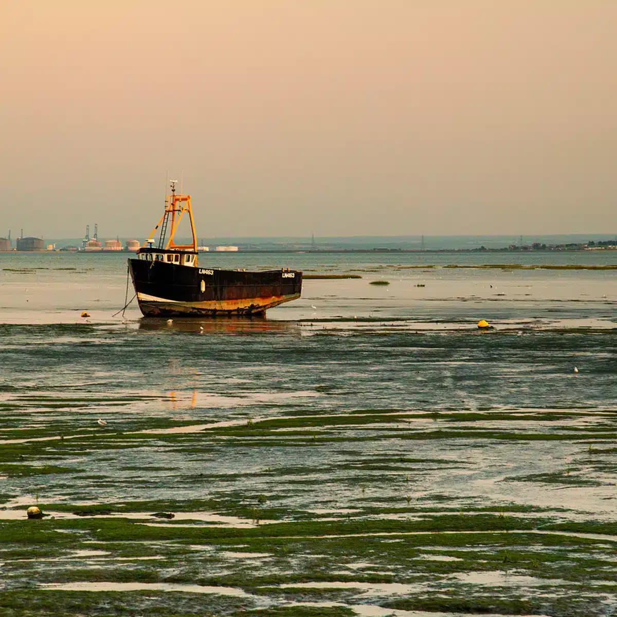 A quiet estuary landscape near Southend-on-Sea at low tide